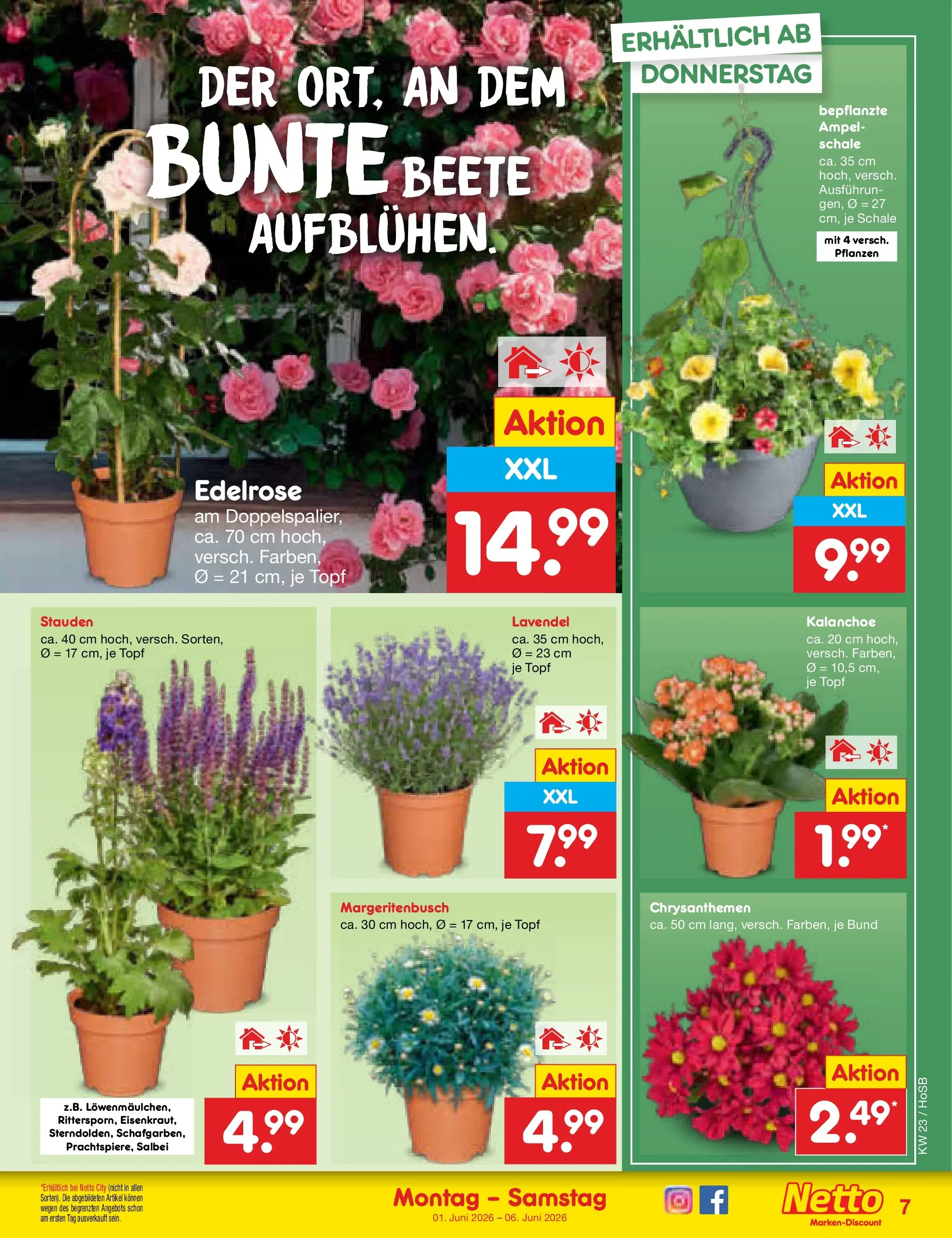 Netto Marken-Discount Prospekt Hannover (ab 01.06.2026) » Angebote | Seite: 7 | Produkte: Lavendel Netto Marken-Discount Prospekt Hannover (ab 01.06.2026) » Angebote | Seite: 7 | Produkte: Lavendel