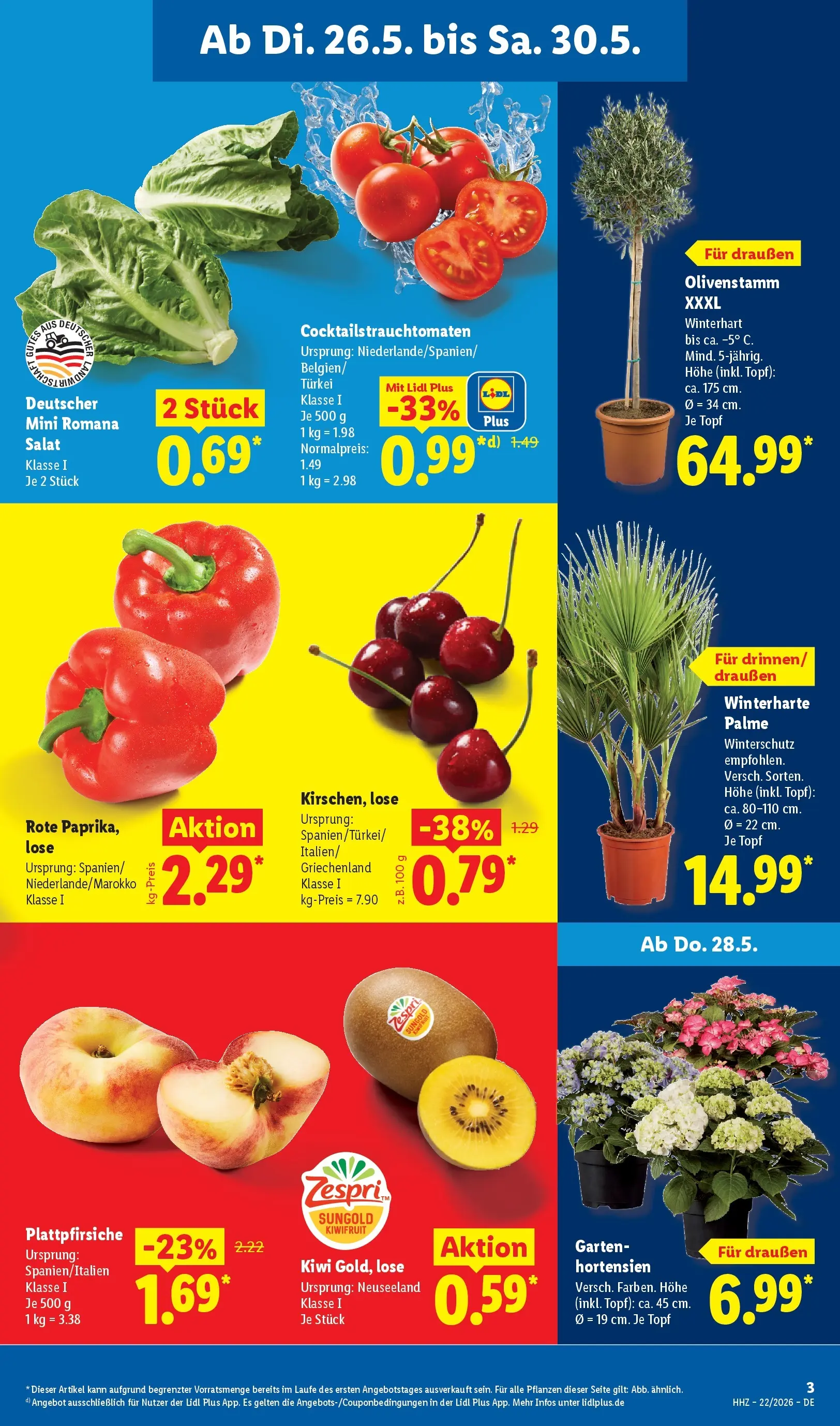 Lidl Prospekt Künzell (ab 24.05.2026) » Angebote online | Seite: 5 Lidl Prospekt Künzell (ab 24.05.2026) zum Blättern » Angebote | Seite: 5