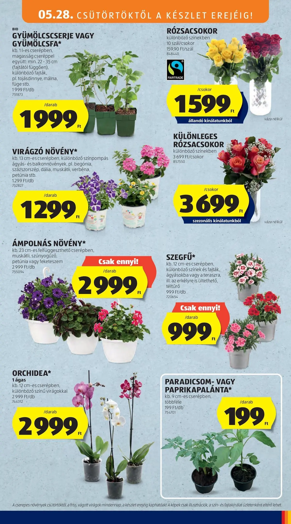 Akciós újság új Ajánlatok - 2026.05.26. -tól/töl ⏳ | Oldal: 33 | Termékek: Virágok, Váza, Füge, Paradicsom Ajánlatok - Aldi újság érvényessége 2026.05.31-ig - 2026.05.26. -tól/töl > akció, lapozható szórólap 🛍️ | Oldal: 33 | Termékek: Virágok, Váza, Füge, Paradicsom