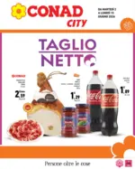 D.A.O. soc. coop. TAGLIO NETTO - al 15.06.2026