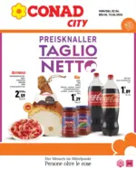 D.A.O. soc. coop. TAGLIO NETTO - al 15.06.2026