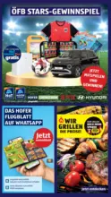 HOFER HOFER: Flugblatt - ab 29.05.2026