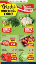HOFER HOFER: Flugblatt - ab 29.05.2026