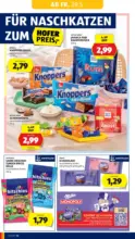 HOFER HOFER: Flugblatt - ab 29.05.2026