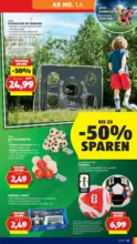 HOFER HOFER: Flugblatt - ab 29.05.2026