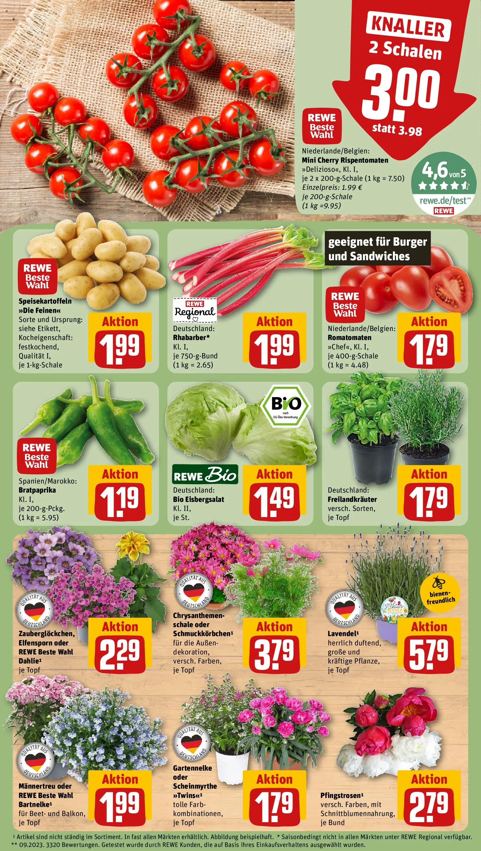 REWE Prospekt ab 31.05.2026 zum Blättern » Angebote | Seite: 5 | Produkte: Burger, Eisbergsalat