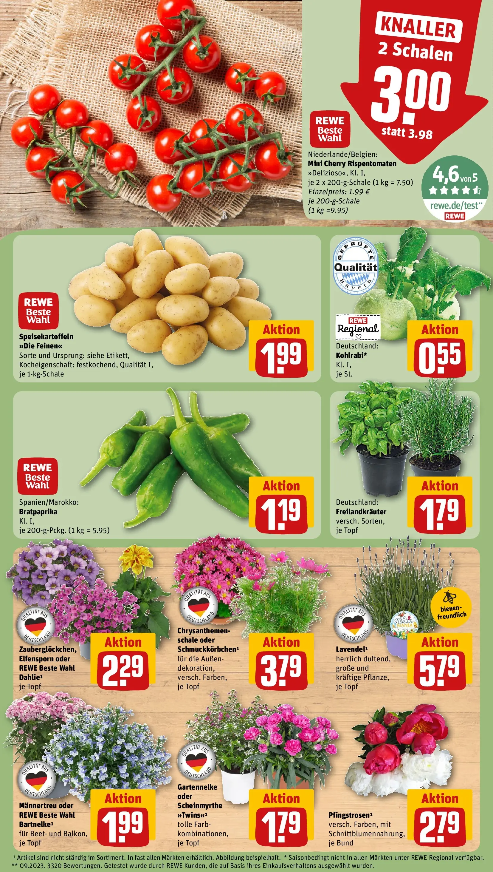 REWE Prospekt ab 31.05.2026 zum Blättern » Angebote | Seite: 5 | Produkte: Kohlrabi, Lavendel