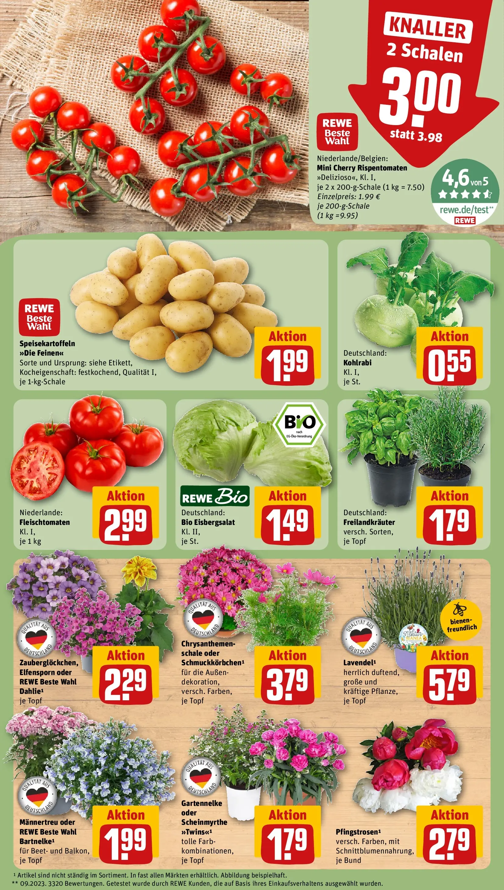 REWE Prospekt ab 31.05.2026 zum Blättern » Angebote | Seite: 5