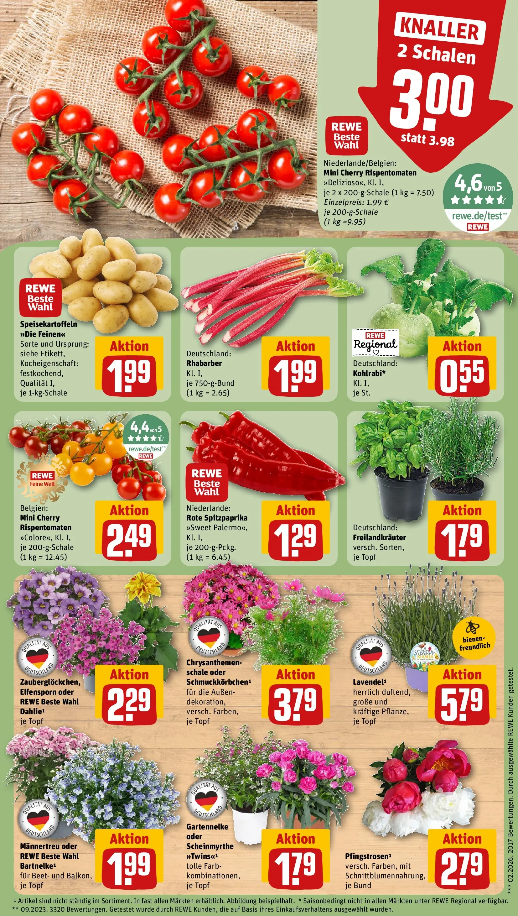 REWE Prospekt ab 31.05.2026 zum Blättern » Angebote | Seite: 5 | Produkte: Kohlrabi, Rhabarber