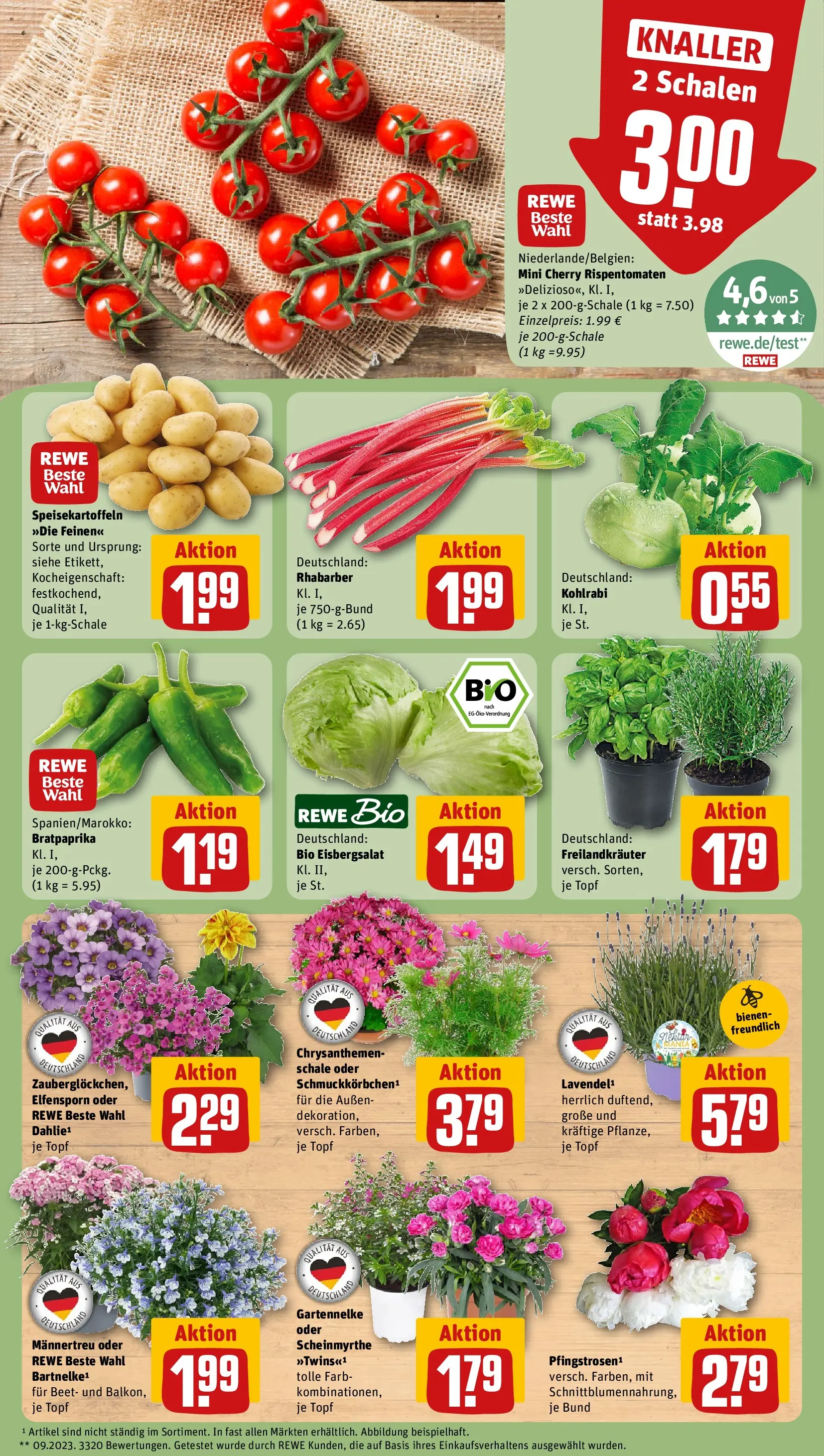 REWE Prospekt ab 31.05.2026 zum Blättern » Angebote | Seite: 5