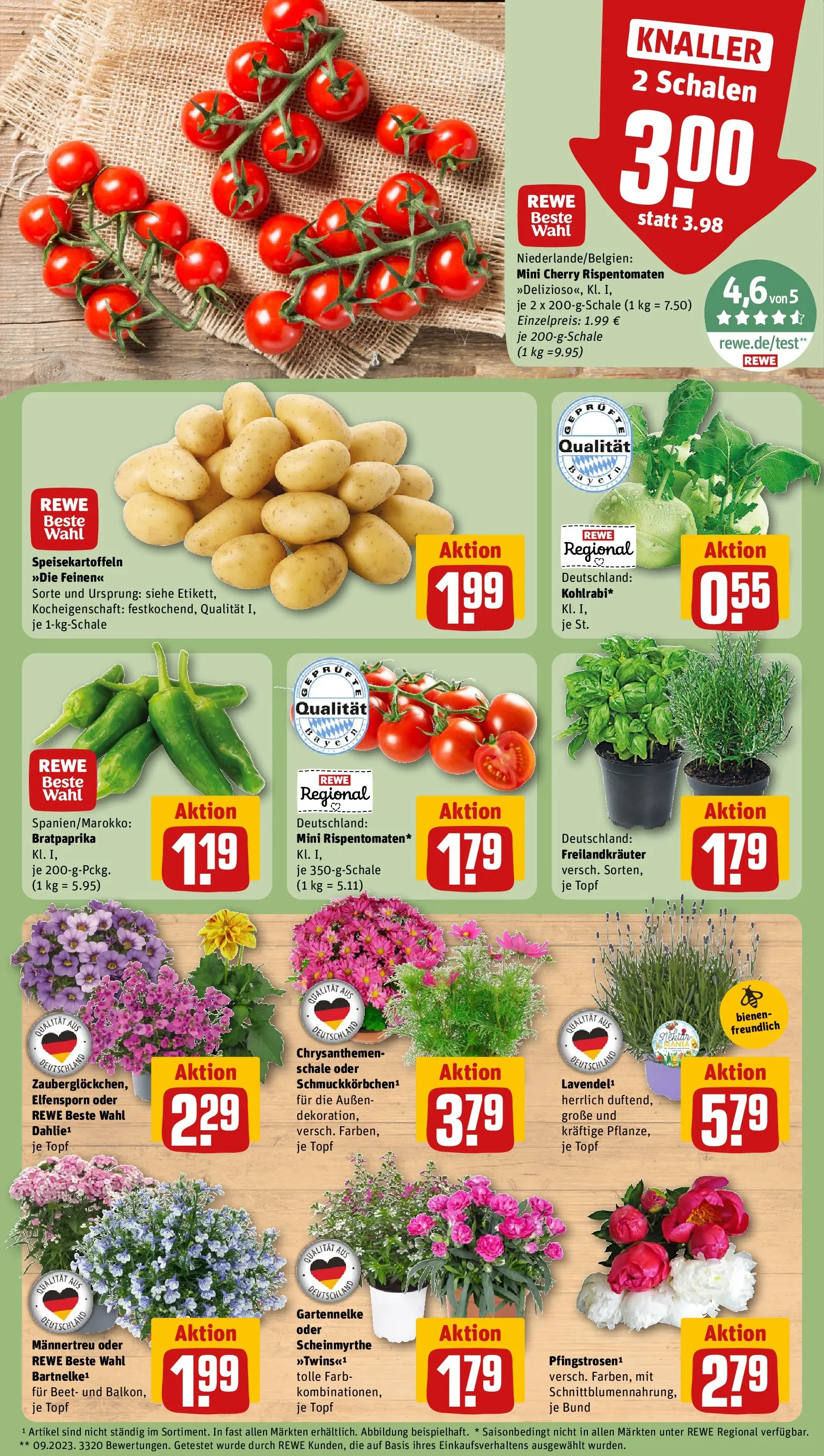 REWE Prospekt ab 01.06.2026 zum Blättern » Angebote | Seite: 5 | Produkte: Kohlrabi