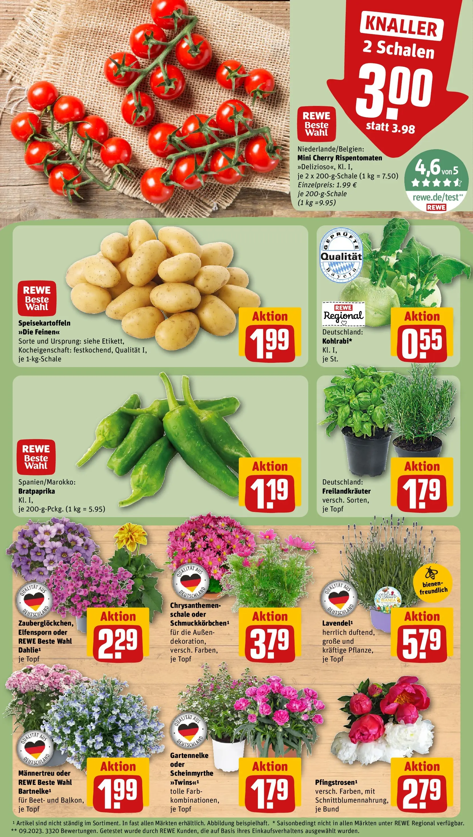REWE Prospekt ab 31.05.2026 zum Blättern » Angebote | Seite: 5