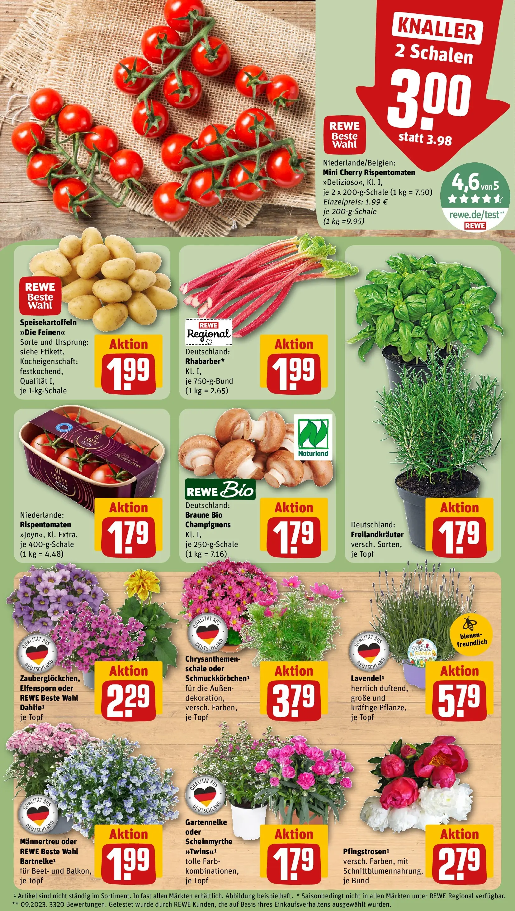 REWE Prospekt ab 01.06.2026 zum Blättern » Angebote | Seite: 5 | Produkte: Champignons