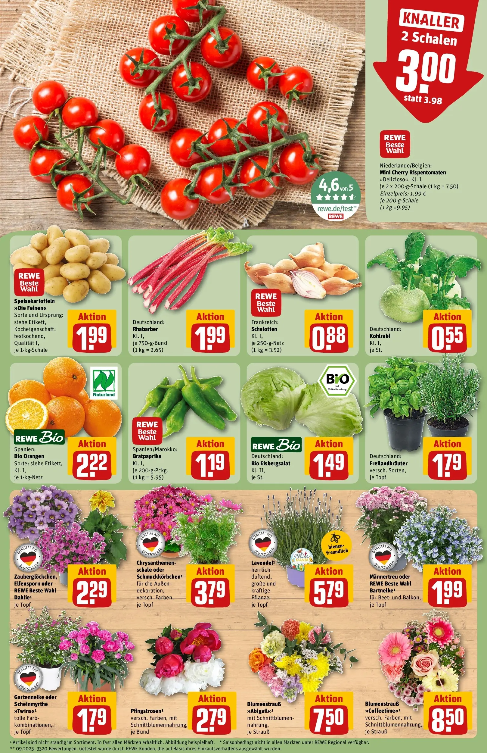 REWE Prospekt ab 01.06.2026 zum Blättern » Angebote | Seite: 7 | Produkte: Kohlrabi, Orangen, Eisbergsalat, Rhabarber
