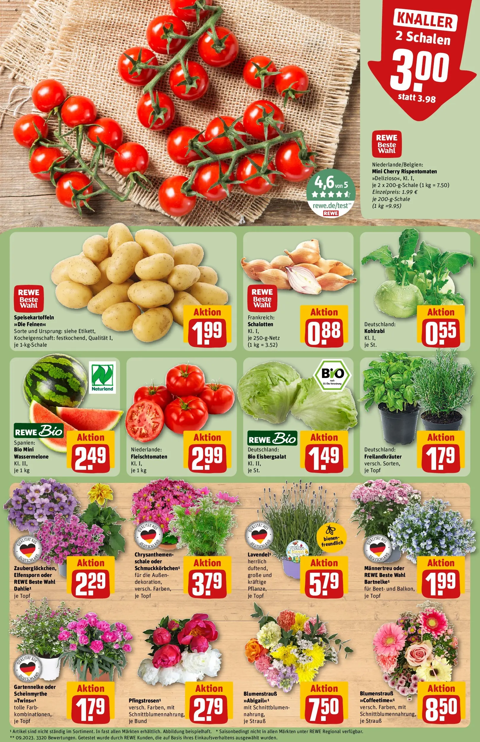 REWE Prospekt ab 01.06.2026 zum Blättern » Angebote | Seite: 5 | Produkte: Kohlrabi, Eisbergsalat, Wassermelone