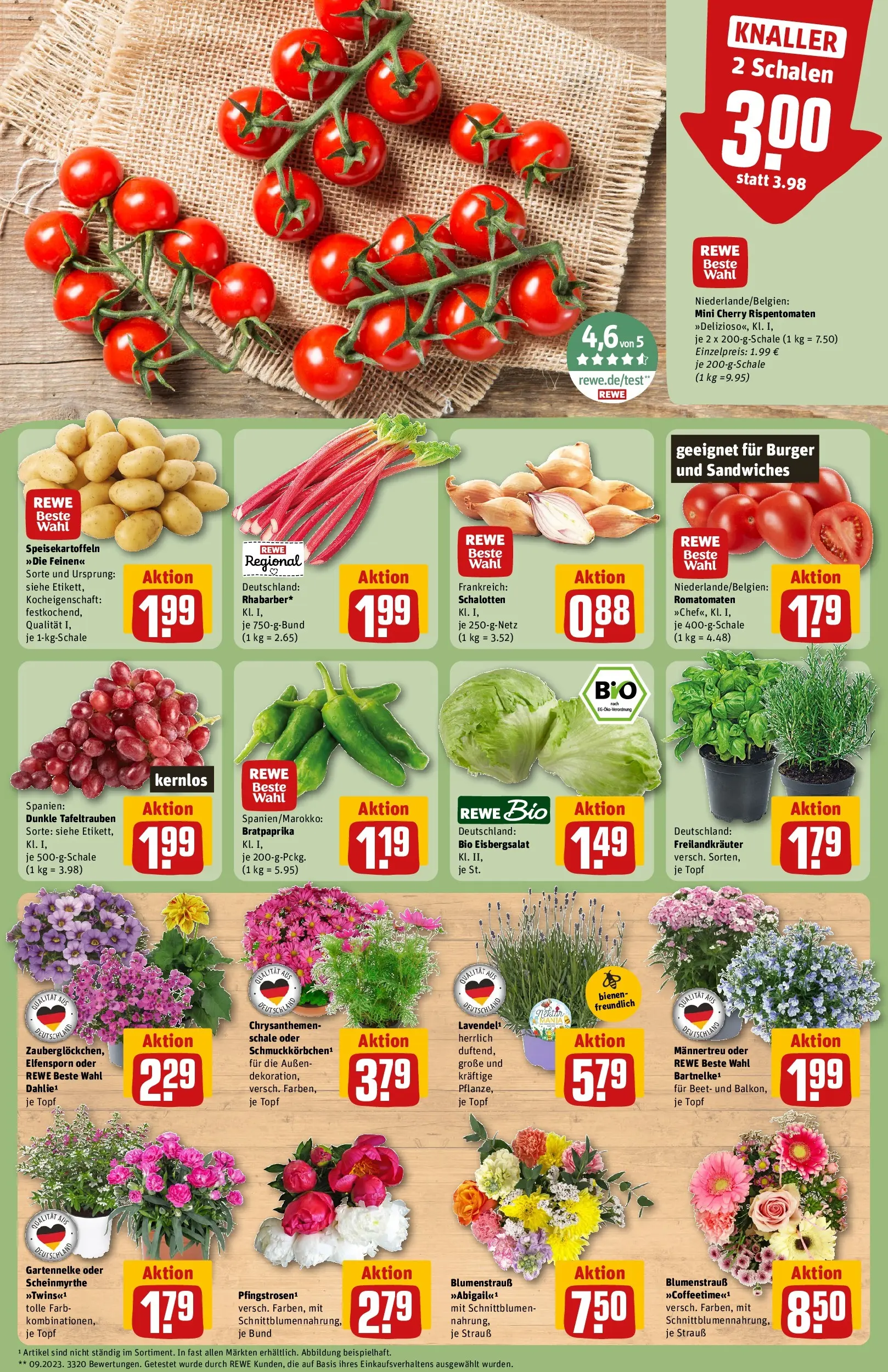 REWE Prospekt ab 01.06.2026 zum Blättern » Angebote | Seite: 5 | Produkte: Burger, Eisbergsalat