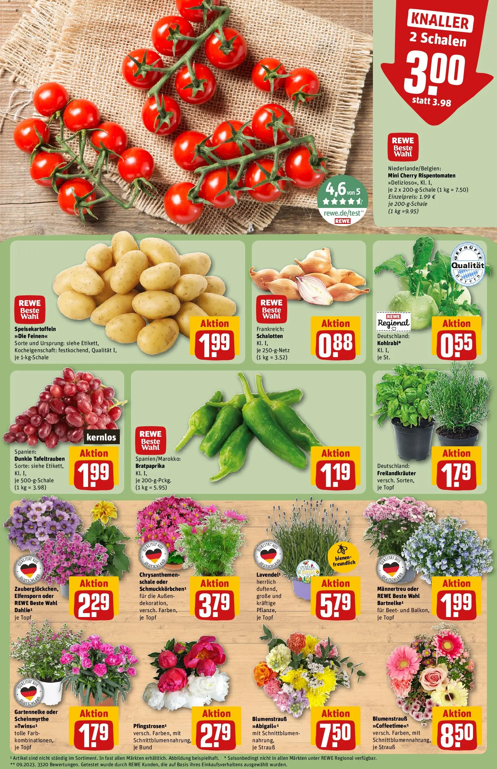 REWE Prospekt ab 31.05.2026 zum Blättern » Angebote | Seite: 5