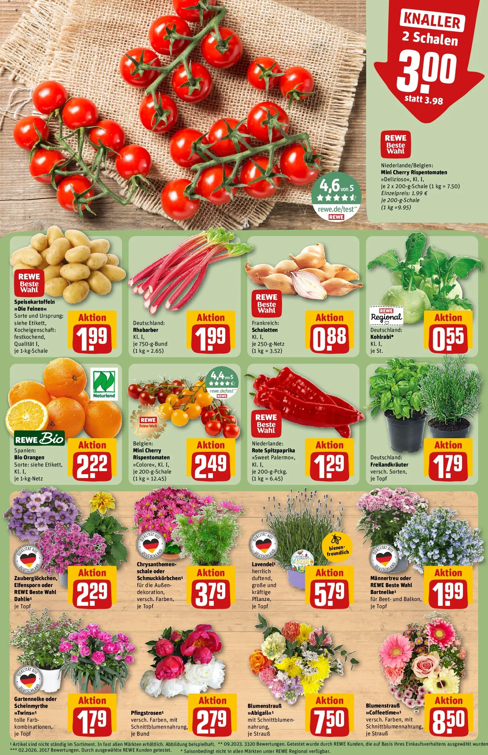 REWE Prospekt ab 31.05.2026 zum Blättern » Angebote | Seite: 5