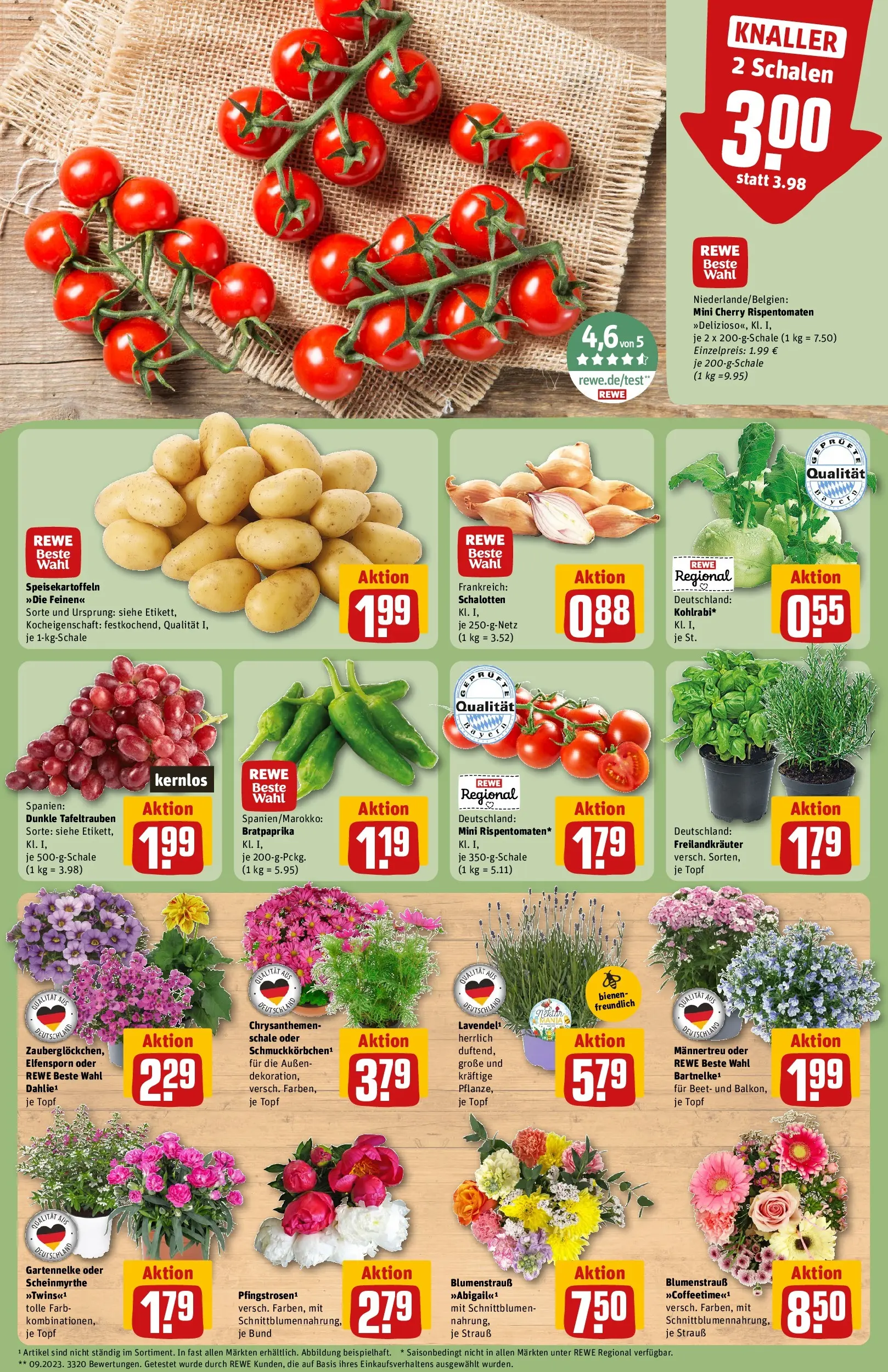 REWE Prospekt ab 01.06.2026 zum Blättern » Angebote | Seite: 5 | Produkte: Kohlrabi, Lavendel