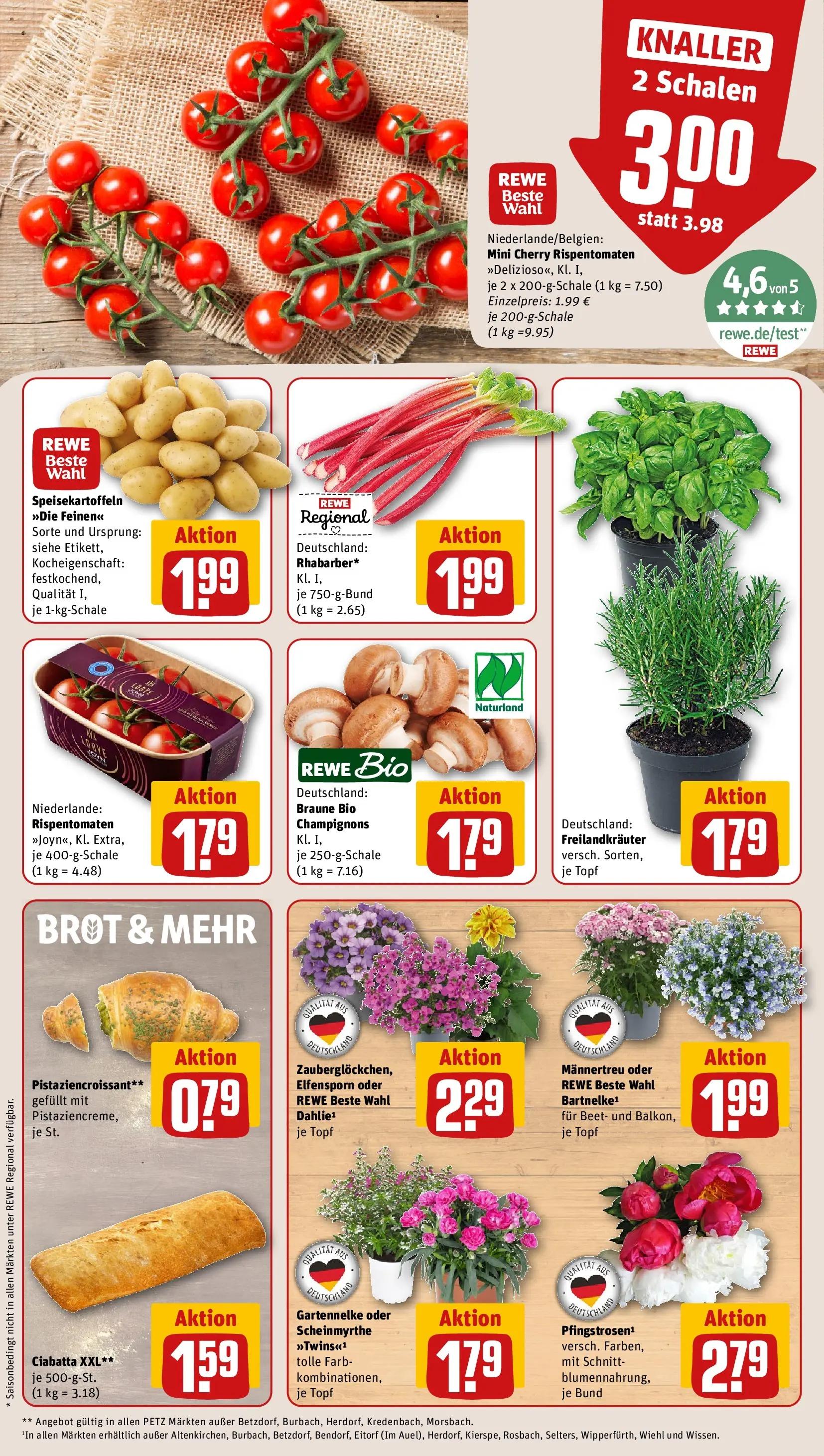 REWE Prospekt ab 01.06.2026 zum Blättern » Angebote | Seite: 5