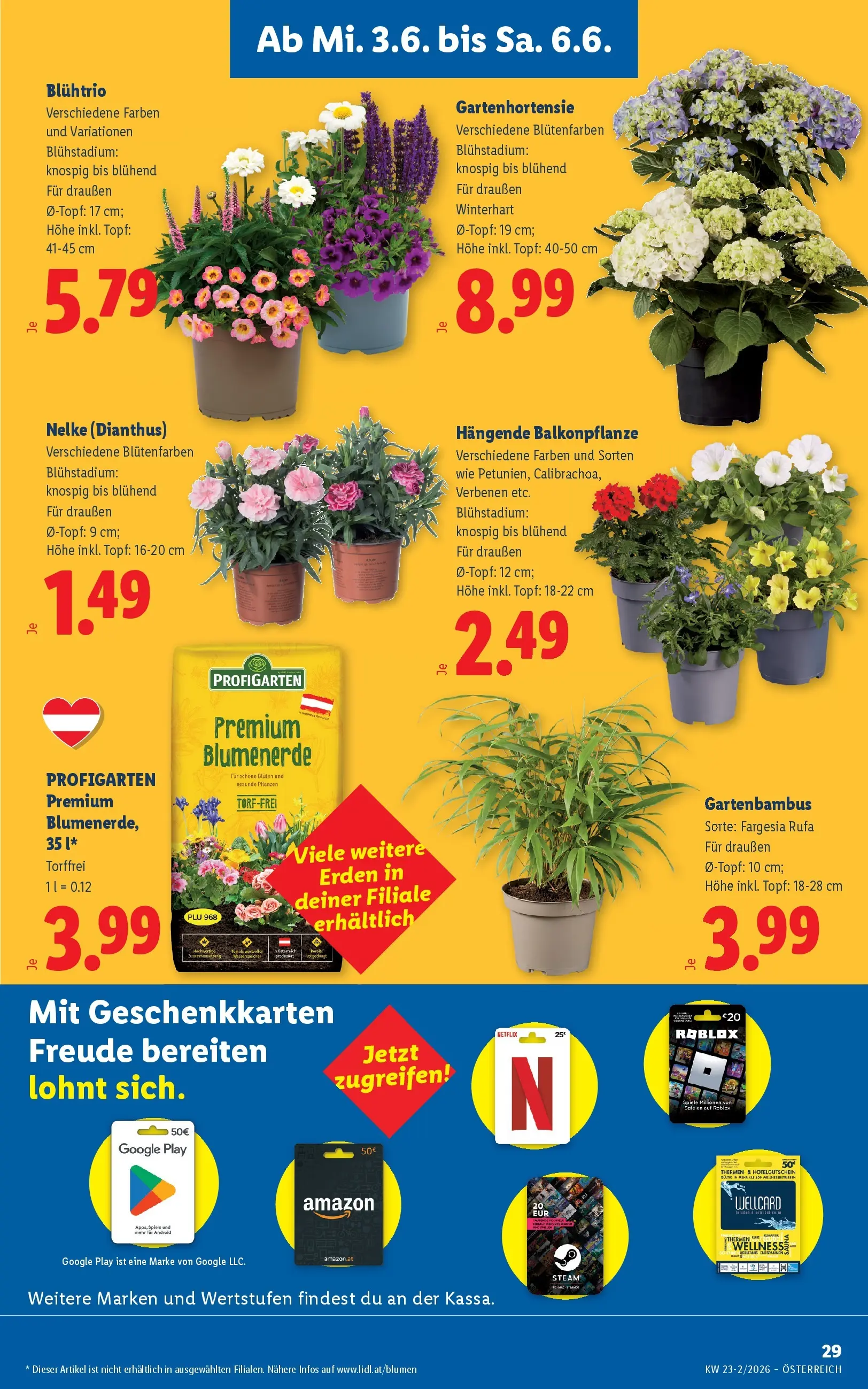 Lidl - Lidl ab 03.06.2026 - Angebote ab donnerstag | Seite: 33
