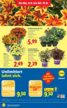 Lidl Lidl - ab 04.06.2026