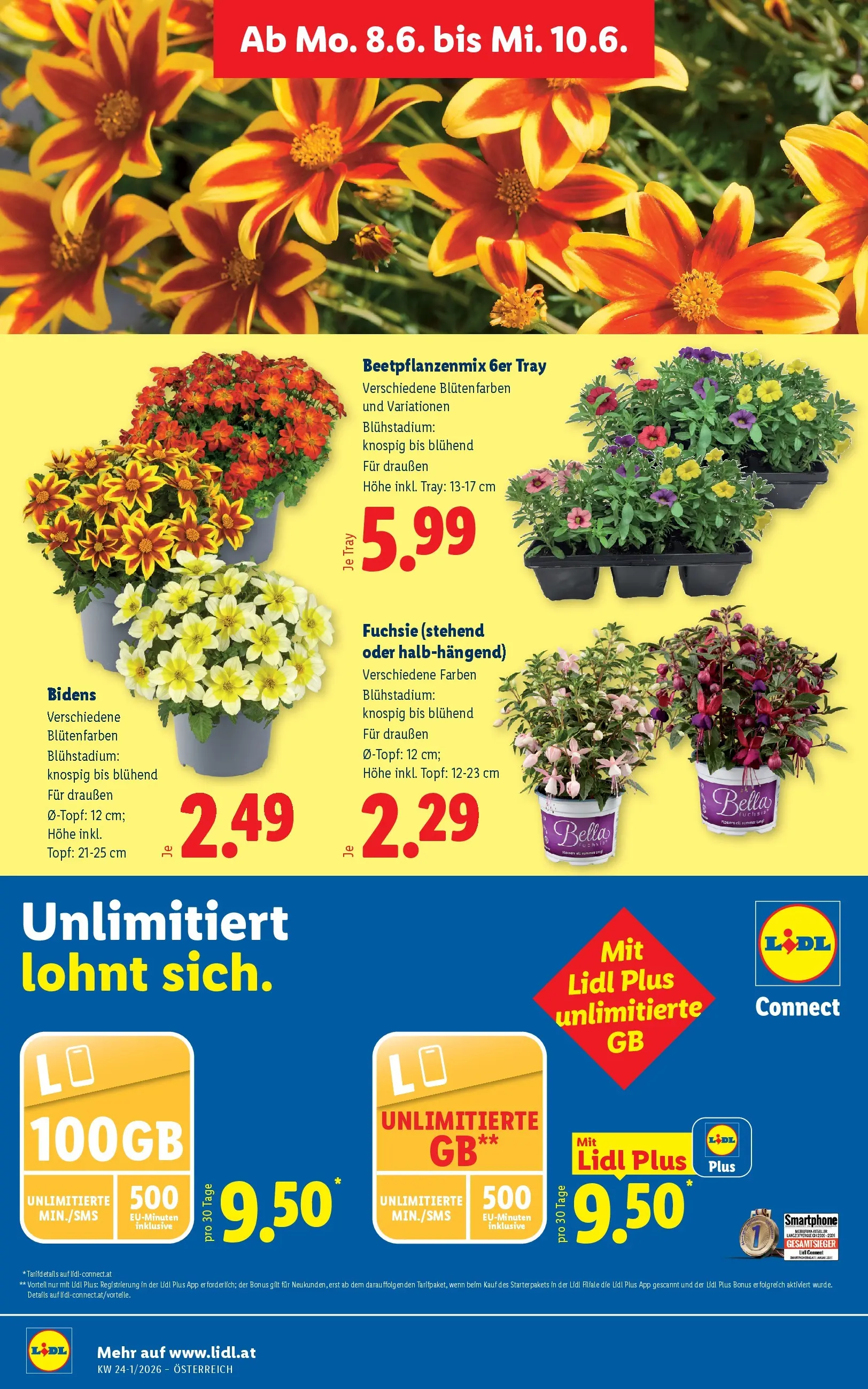 Lidl - Lidl ab 03.06.2026 - Angebote ab donnerstag | Seite: 35