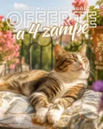 Giardineria Offerte a 4 zampe - al 13.06.2026