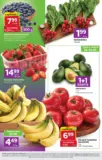 Nasze najlepsze oferty dla Ciebie