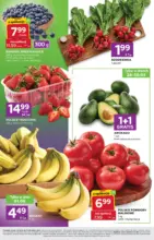 Nasze najlepsze oferty dla Ciebie Stokrotka &ndash; do 01.06.2026