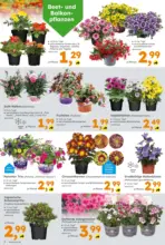 Globus Baumarkt: Wochenangebote