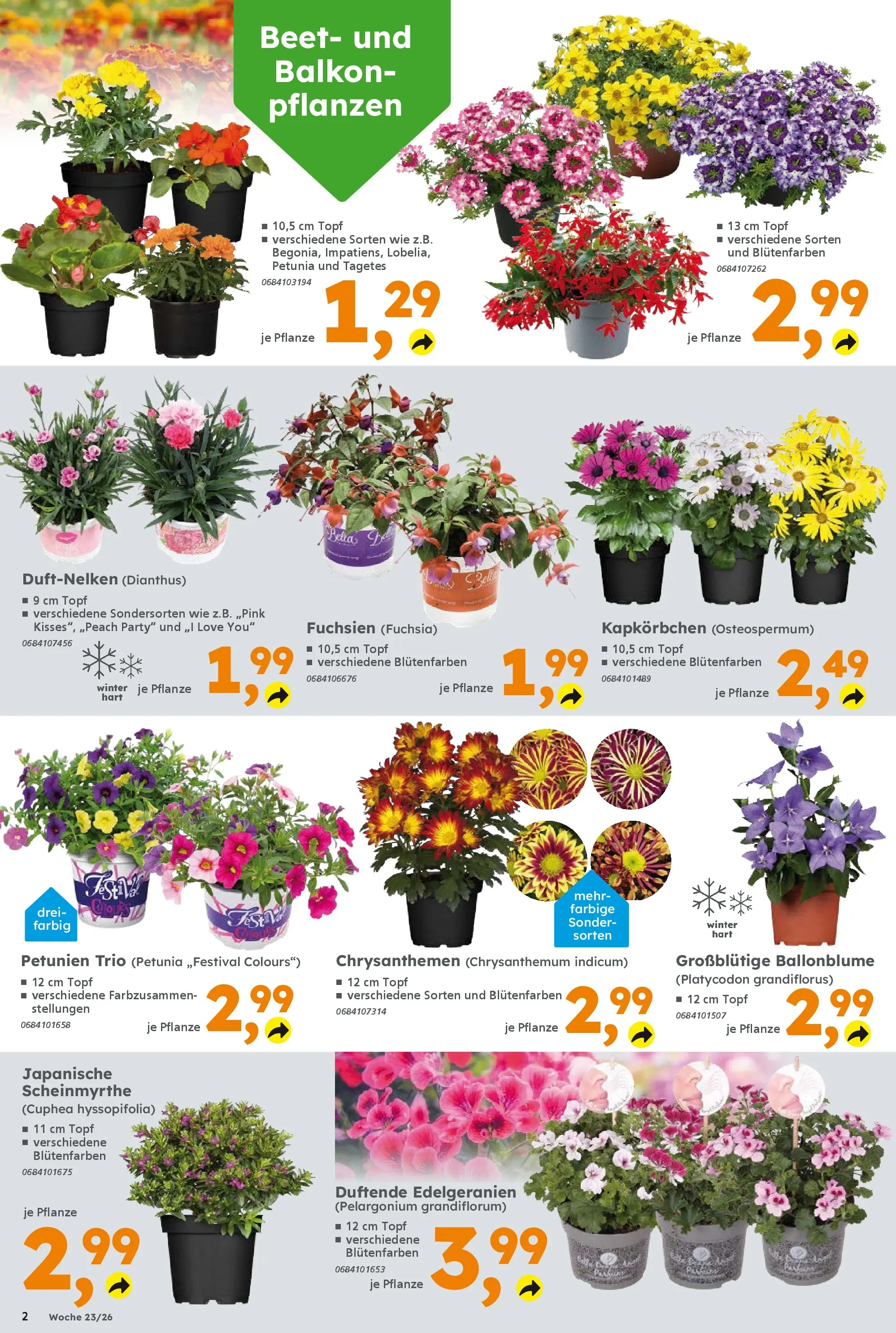 Globus Baumarkt Prospekt Forchheim (ab 31.05.2026) zum Blättern | Seite: 2