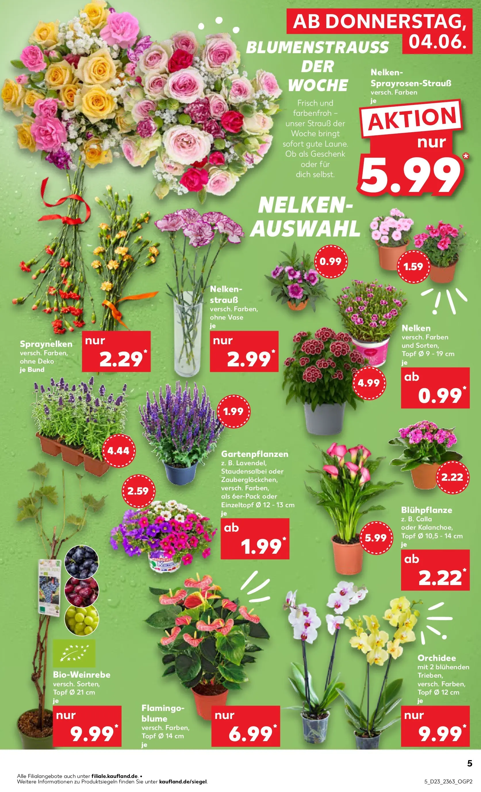 Prospekt Kaufland ab 01.06.2026 » Angebote und Werbung Online | Seite: 12 Prospekt Kaufland ab 01.06.2026 » Angebote Online zum Blättern | Seite: 12