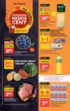 Nowe oferty do odkrycia