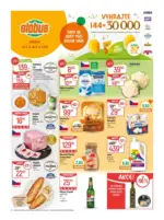 Globus Globus 23 26 L1 &ndash; od 03.06.2026