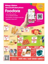 Globus 23 26 L1