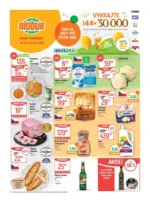 Globus 23 26 L1