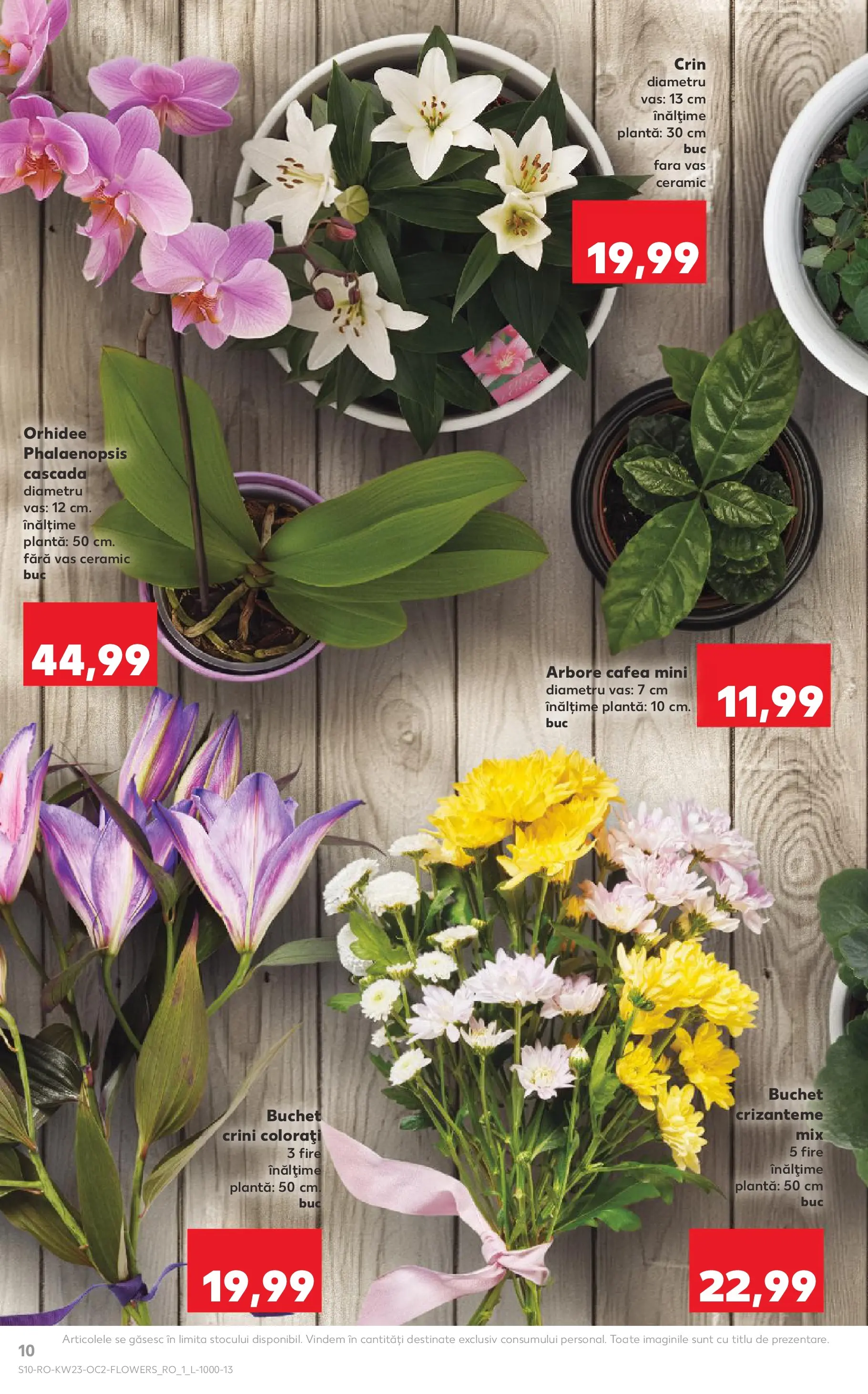 Kaufland Slatina 03.06.2026 - Revista si Oferta | Pagină: 10 | Produse: Orhidee, Cafea