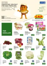 CAP-Markt Exklusive Deals und Schn&auml;ppchen - bis 06.06.2026