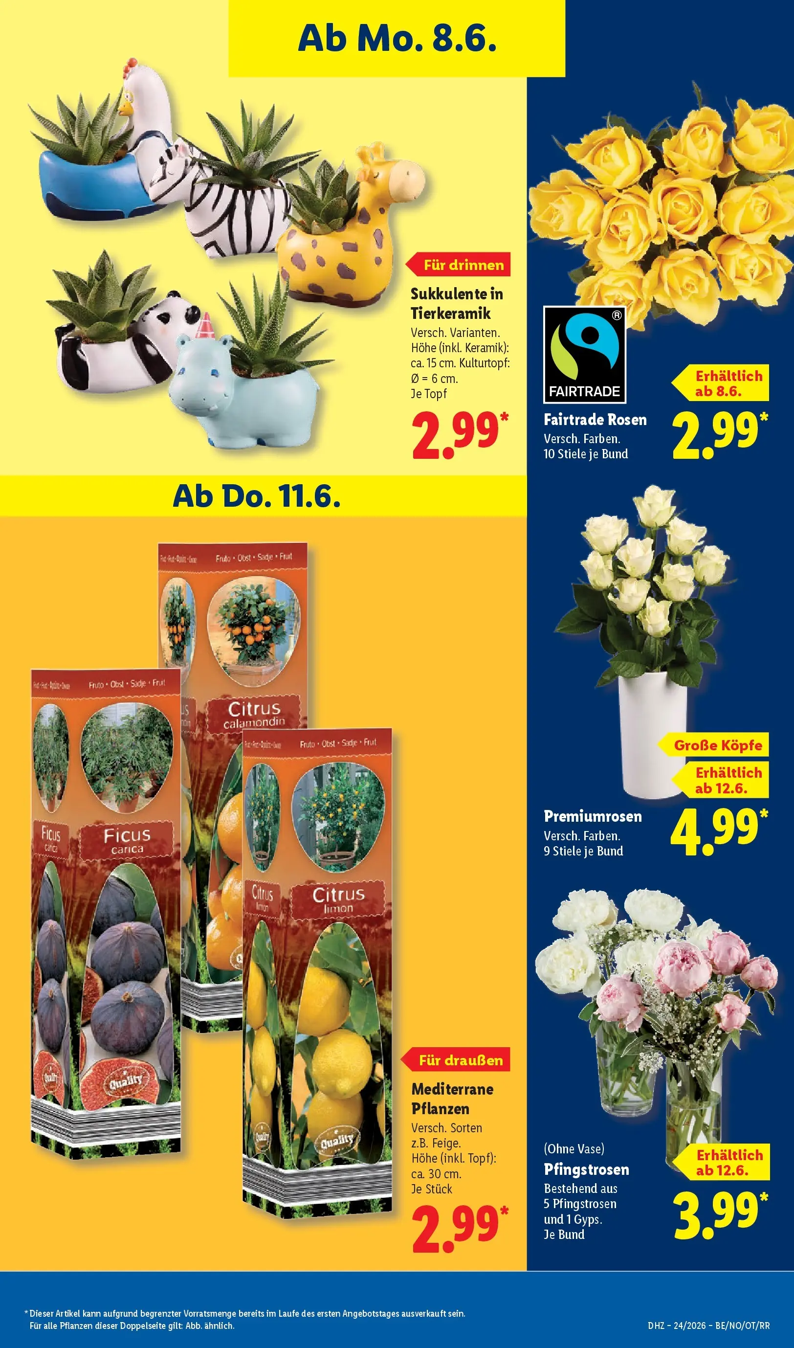 Lidl Prospekt Hagen (ab 07.06.2026) » Angebote online | Seite: 73 | Produkte: Vase, Obst Lidl Prospekt Hagen (ab 07.06.2026) zum Blättern » Angebote | Seite: 73 | Produkte: Vase, Obst