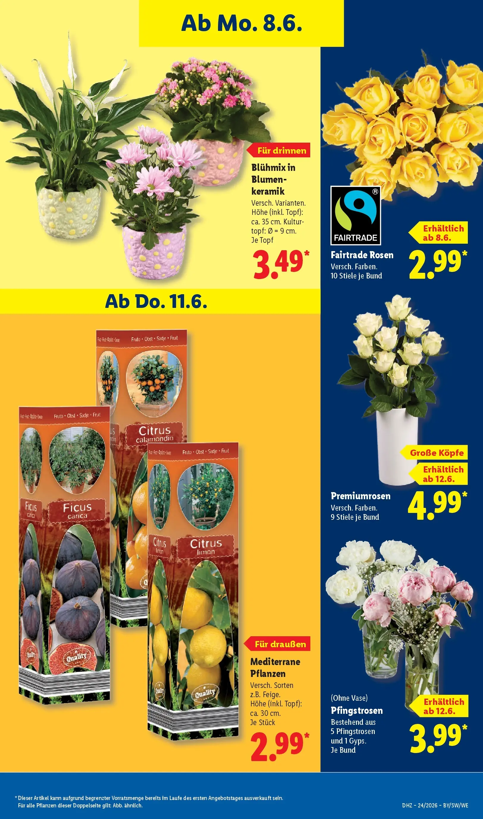 Lidl Prospekt Weikersheim (ab 07.06.2026) » Angebote online | Seite: 69 | Produkte: Blumen, Vase, Obst Lidl Prospekt Weikersheim (ab 07.06.2026) zum Blättern » Angebote | Seite: 69 | Produkte: Blumen, Vase, Obst
