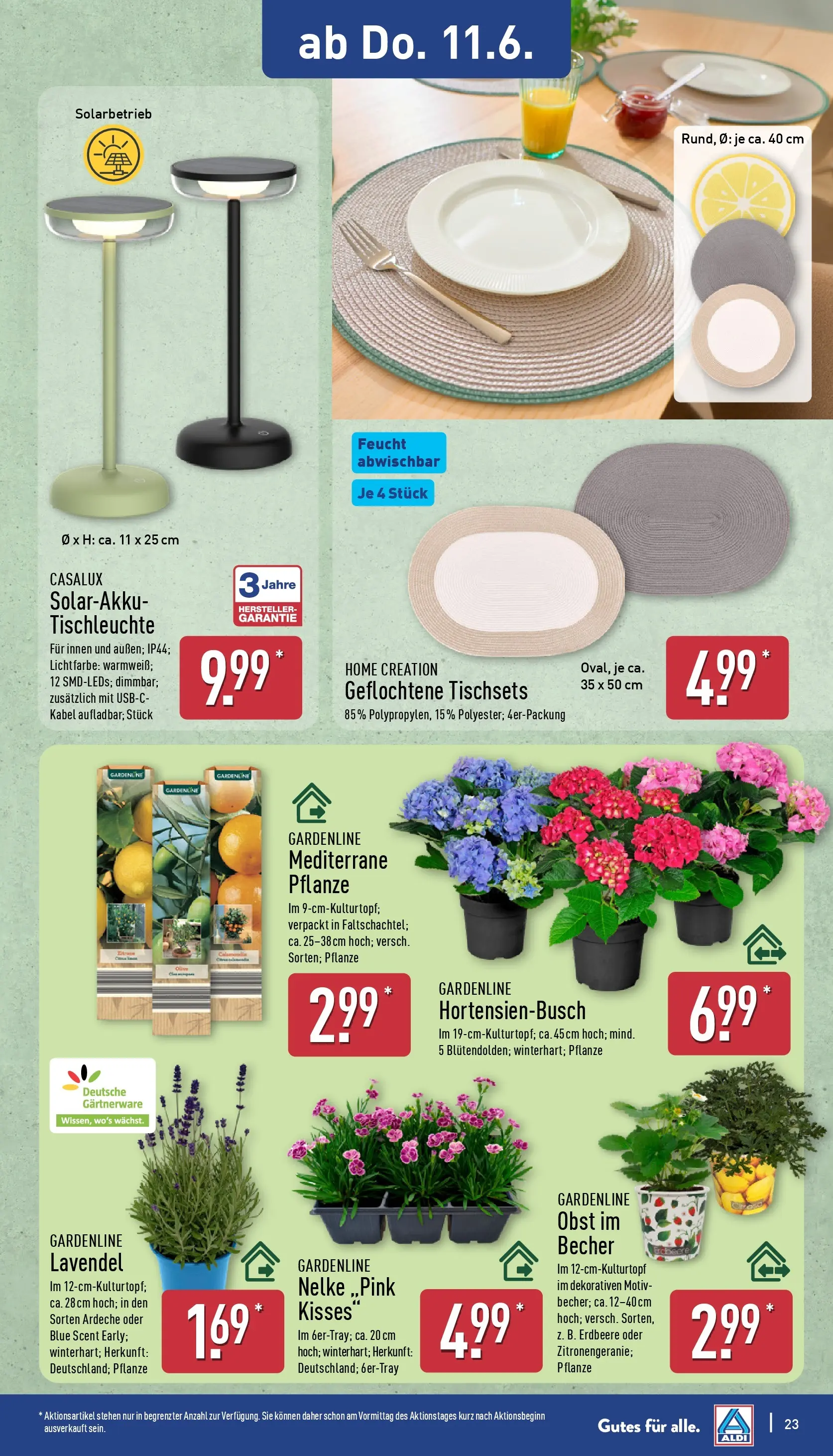 Aldi - ALDI Nord: Wochenangebote (ab 07.06.2026) » Angebote Online | Seite: 27 | Produkte: Kabel, Obst, Lavendel, Home creation