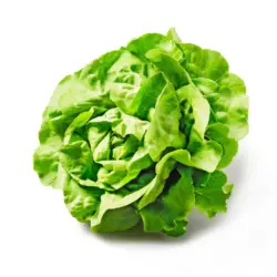 Da komm ich her! H&auml;uptelsalat