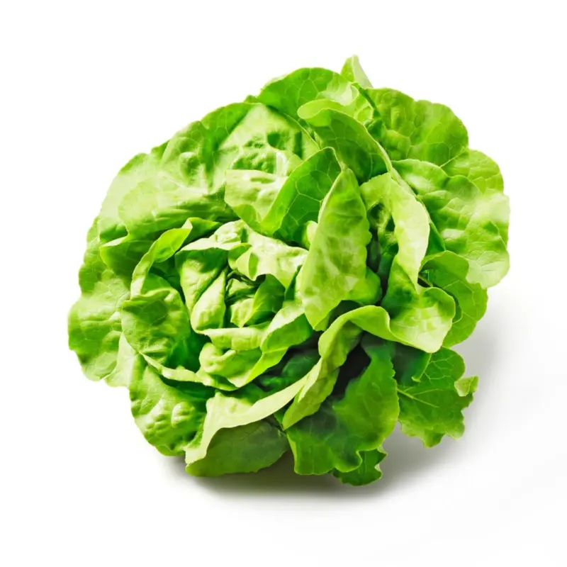 Da komm ich her! H&auml;uptelsalat