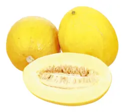 Melonen gelb