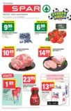 T23 spar 1