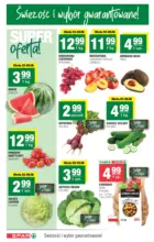 T23 spar 1