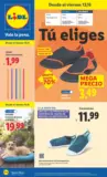 &iexcl;Bazar Lidl!- Ofertas v&aacute;lidas del 08/06 al 14/06