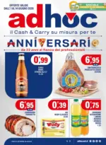 Multicedi S.r.l. Anniversario - al 14.06.2026