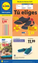 Lidl &iexcl;Bazar Lidl!- Ofertas v&aacute;lidas del 08/06 al 14/06 - hasta el 14.06.2026